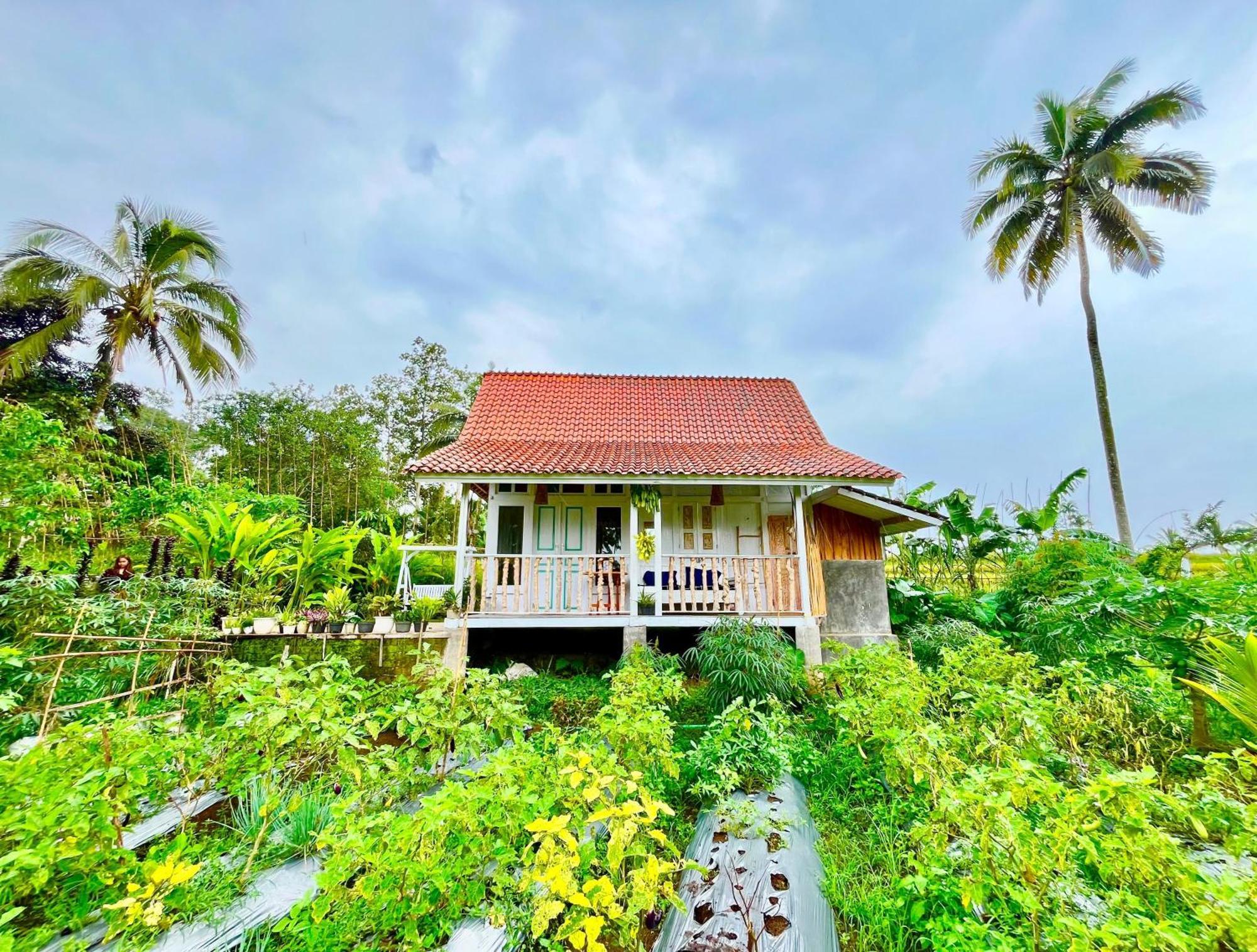 Pondok Is Oke Villa Scenic View Banyuwangi  Exterior photo