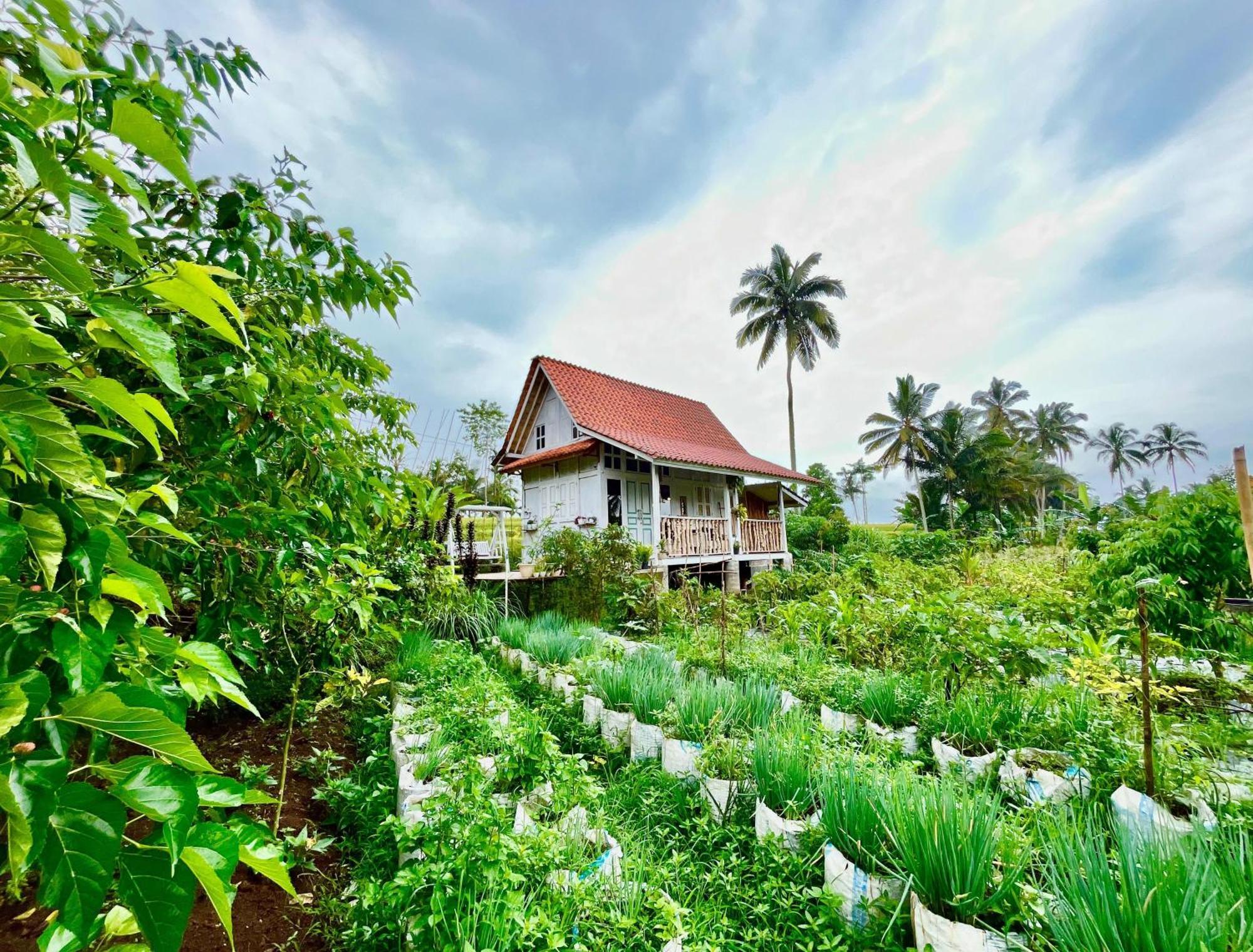 Pondok Is Oke Villa Scenic View Banyuwangi  Exterior photo